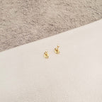 Detalle de Aretes Topo Mini Circonia Cuadrada Cristal (2)