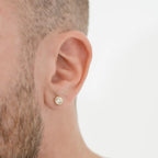 Aretes Topo Circonia 6 mm puestos (4)