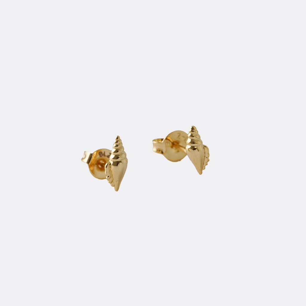 Detalle de Aretes Concha (2)