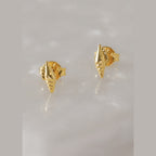 Detalle de Aretes Concha
