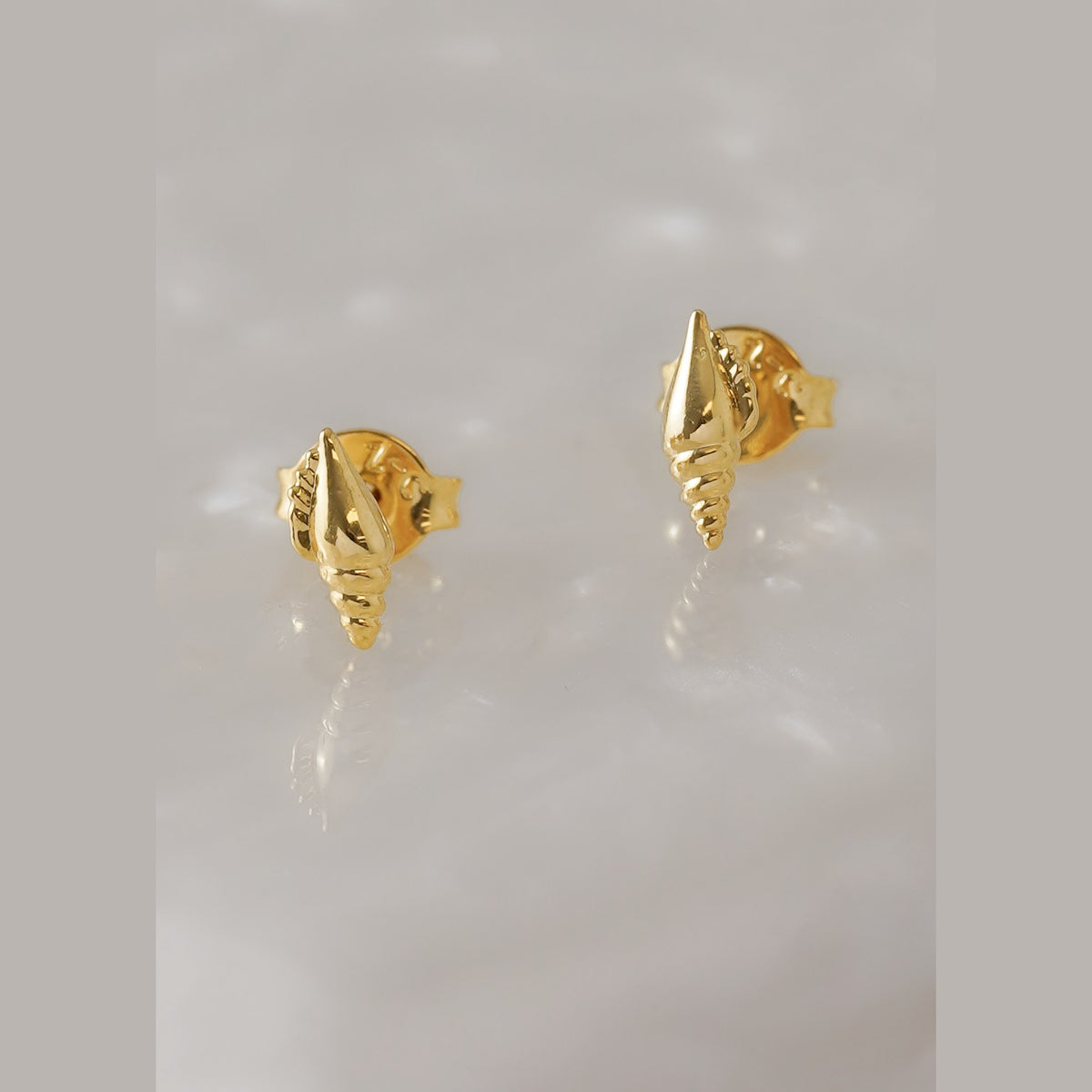 Detalle de Aretes Concha