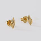 Aretes Concha de oro laminado 18k