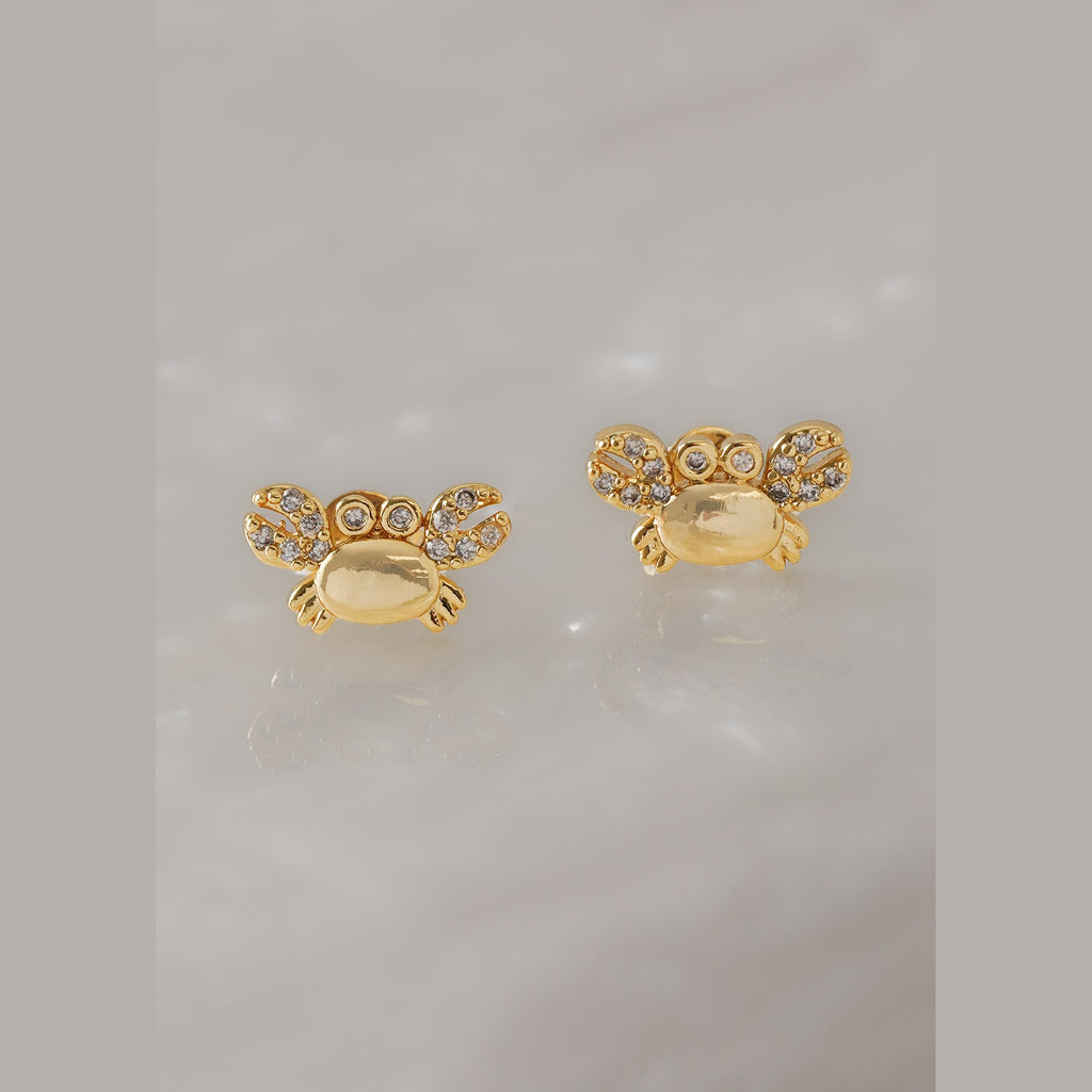 Detalle de Aretes Cangrejo Circonias