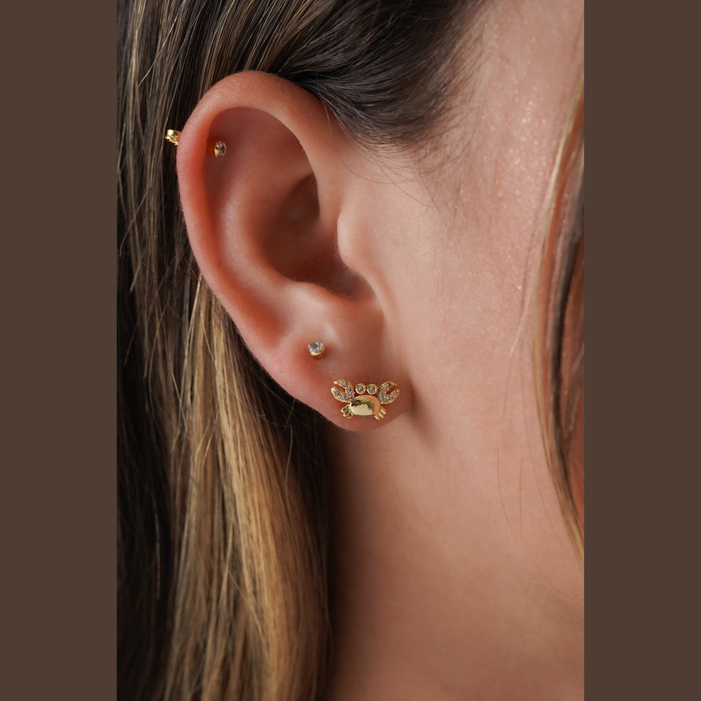Aretes Cangrejo Circonias puestos (2)