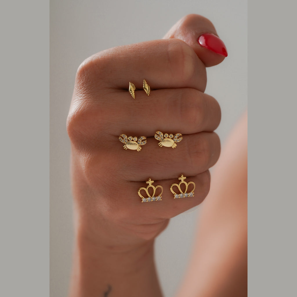 Aretes Cangrejo Circonias puestos