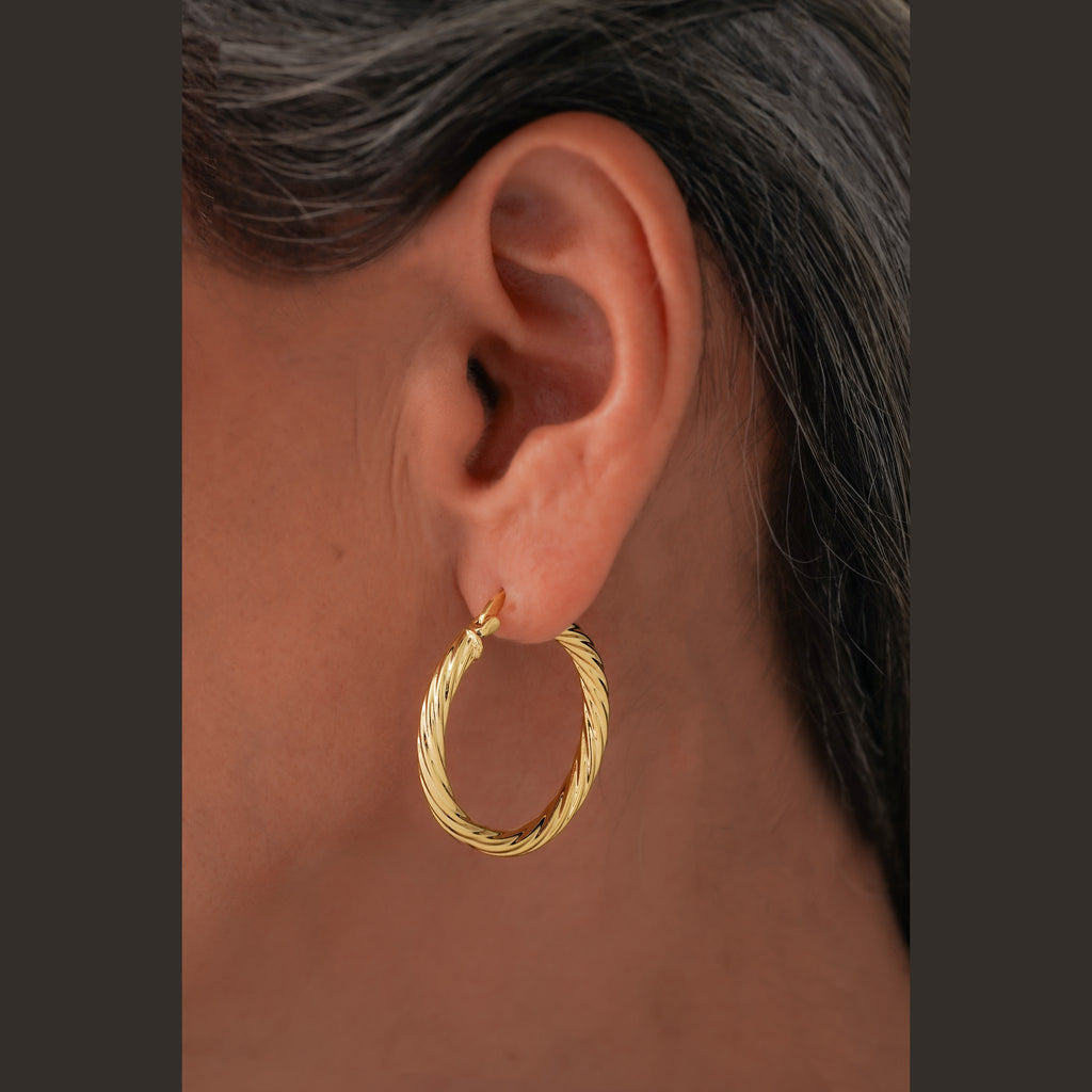 Aretes Fantastic puestos